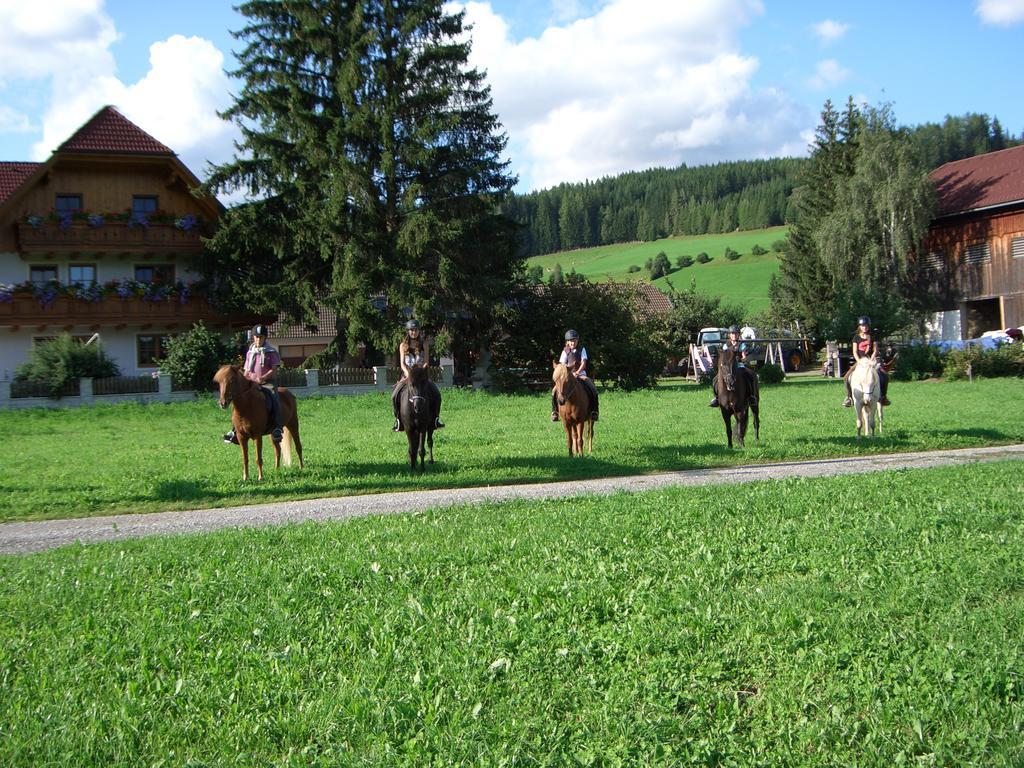 Villa Bio Bauernhof Schoberhof Sankt Andrä im Lungau Esterno foto