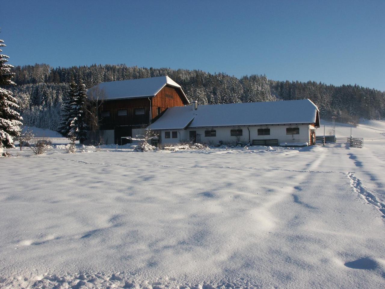 Villa Bio Bauernhof Schoberhof Sankt Andrä im Lungau Esterno foto