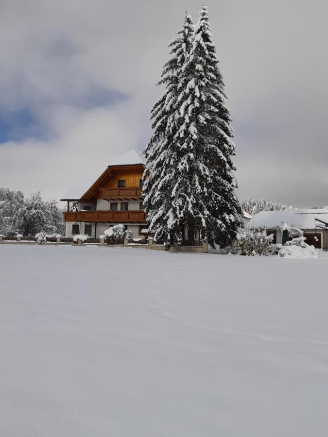 Villa Bio Bauernhof Schoberhof Sankt Andrä im Lungau Esterno foto